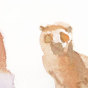 img2